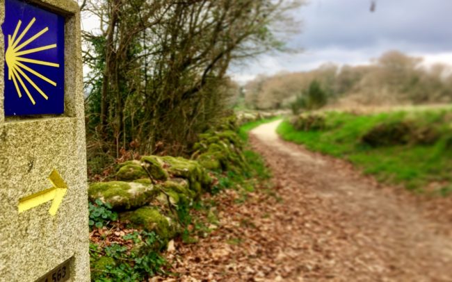 Camino de Santiago track