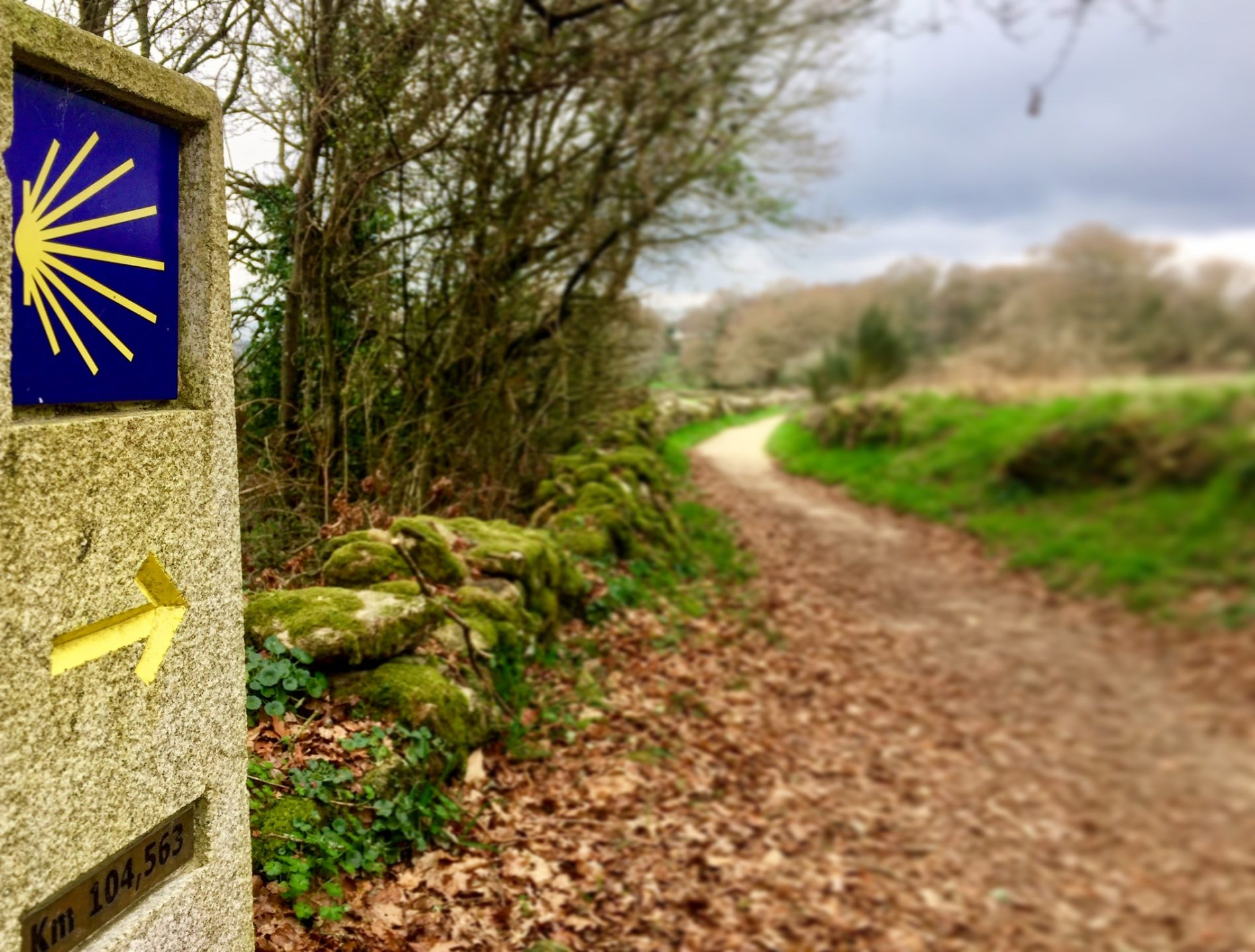 Camino de santiago longitud