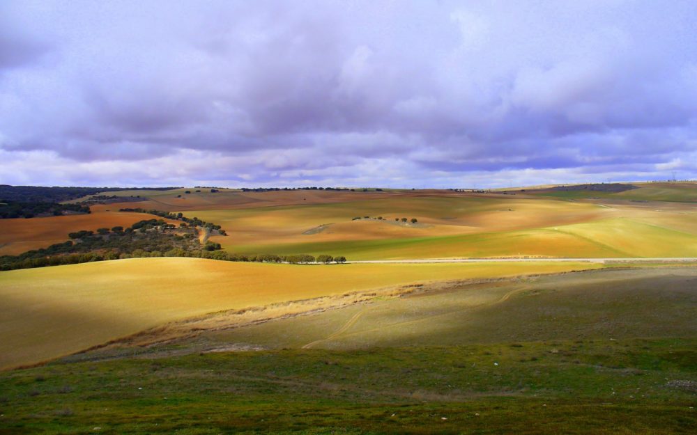Castilla-La Mancha fields at Flickr