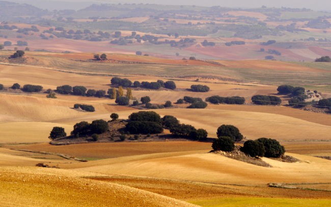 Castilla-La Mancha landscape
