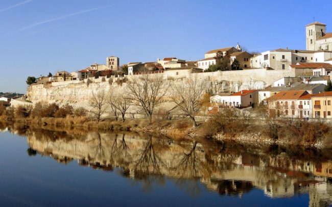 Zamora at Flickr