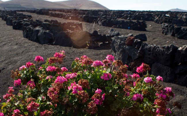 Canary Islands, Spain