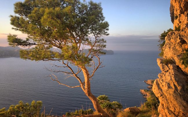Mallorca